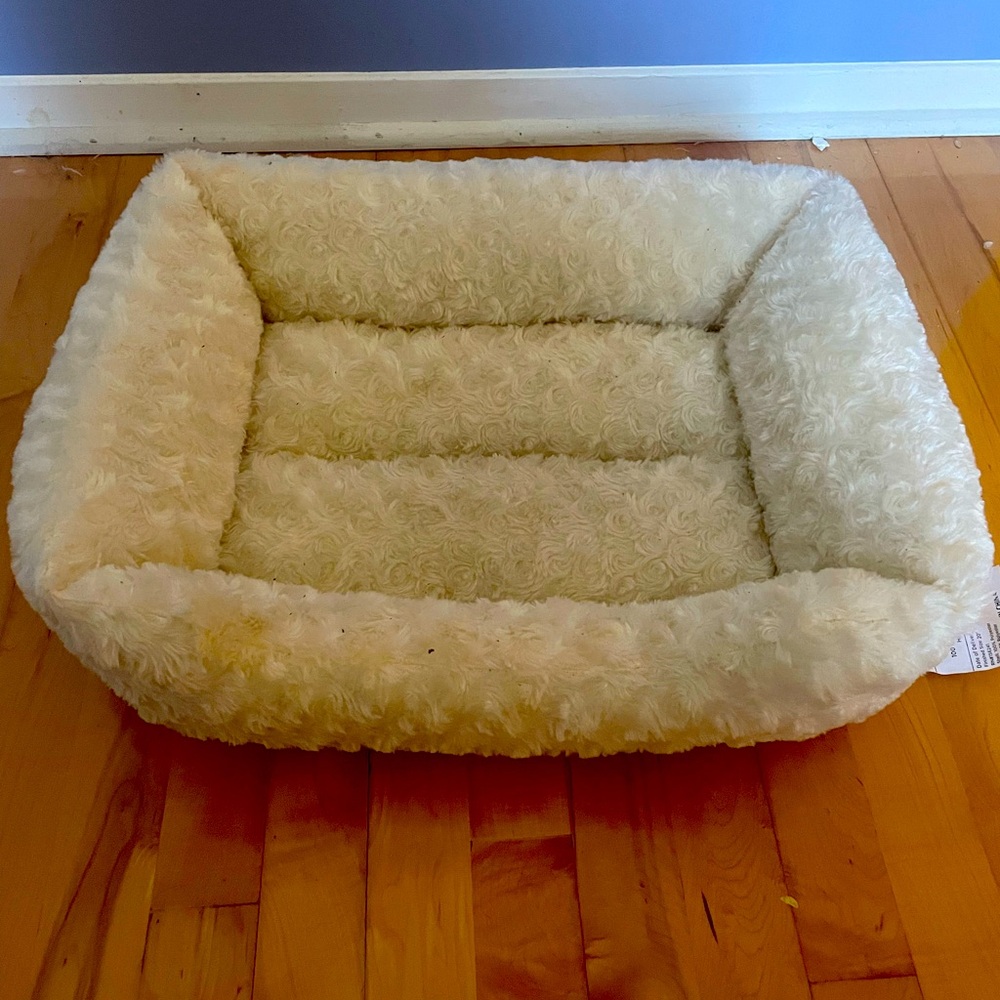 New cat bed.